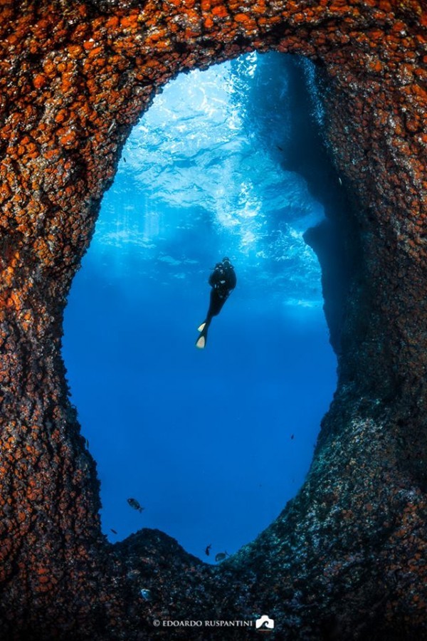 SCUBA Diving in Gulf of Naples