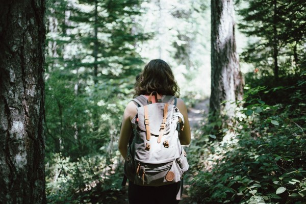 Trekking on Mills Valley